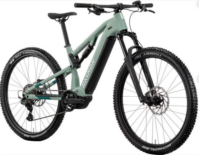 Bicicleta Eléctrica Raymon Raymon TrailRay 120