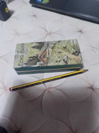 Armónica Hohner Echo