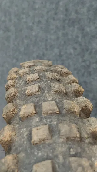 Michelin Wild Enduro MS Cubierta MTB