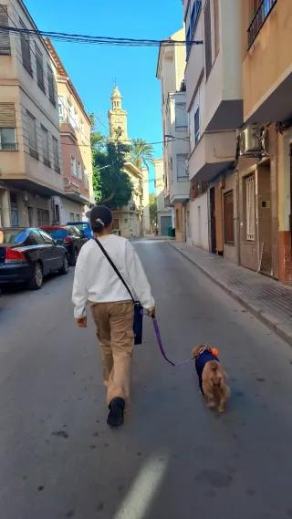 Servicio de cuidado de mascotas y estancia
