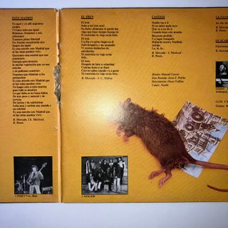 Lote Vinilos Leño En Directo LP