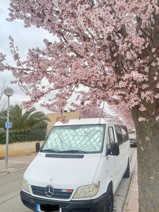 Mercedes-Benz Sprinter ocasión