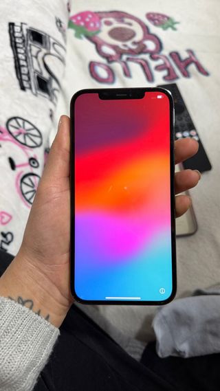 iPhone 12 Pro Max 128GB Gris