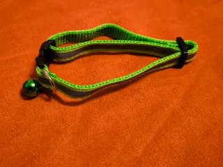 Guinzaglio, ciondolo e collare per gatti/cani XS