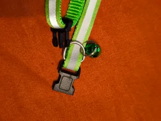 Guinzaglio, ciondolo e collare per gatti/cani XS