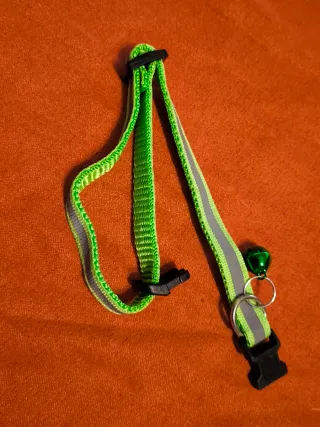 Guinzaglio, ciondolo e collare per gatti/cani XS