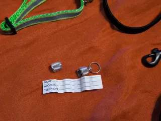 Guinzaglio, ciondolo e collare per gatti/cani XS