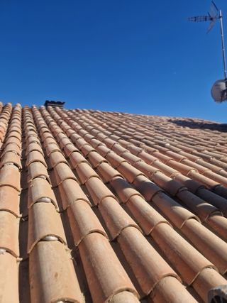 Se buscan trabajadores para el sector de tejados