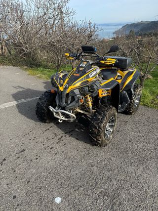 Can-Am/ bombardier Renegade 800 año2007
