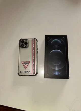 iPhone 12 Pro Max Argento