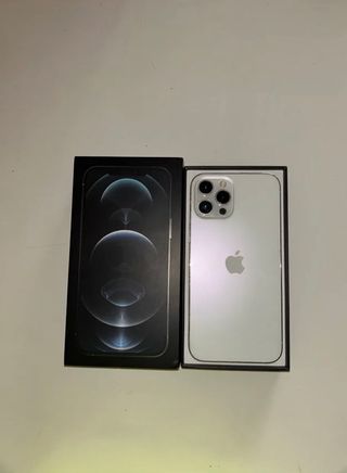 iPhone 12 Pro Max Argento