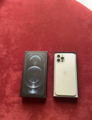 iPhone 12 Pro Max Argento