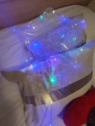 Disfraz Payasa Tutú Tul Pompones