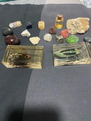 Lotto di minerali e 2 insetti in resina