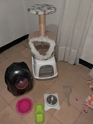 Transportín gato/perro, arenero, rascador