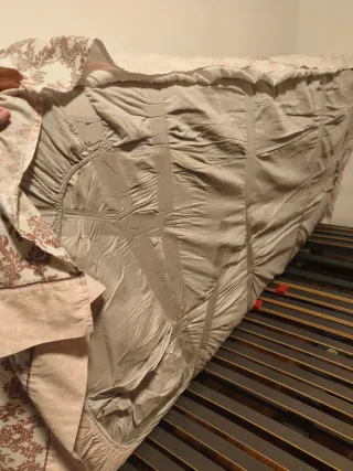 Cama articulada con barandilla