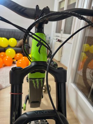 Bicicletta Elettrica Specialized Turbo Levo