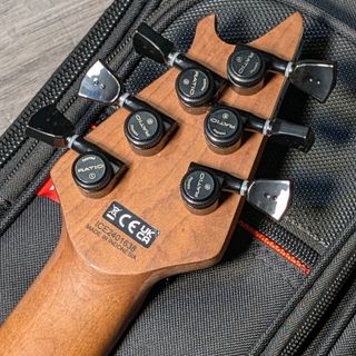 EVH Wolfgang Standard T.O.M. Relic Custom