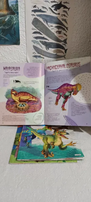 Libros de dinosaurios ilustrado