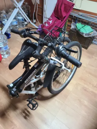 Bicicleta Plegable ECOSMO