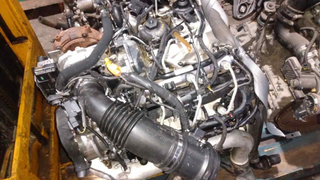 MOTOR COMPLETO AUDI A5 SPORTBACK (8T) 3.0 TDI Qua