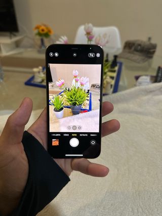 iPhone 12 Pro 128 GB Plata Con 75% de bateria