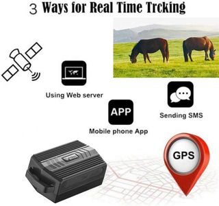 Winnes TK935 Localizador GPS Perros Collar GPS