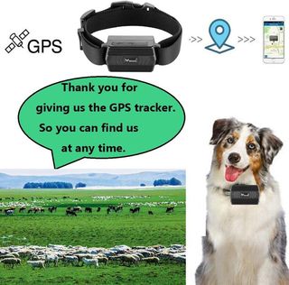 Winnes TK935 Localizador GPS Perros Collar GPS