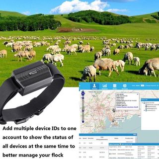 Winnes TK935 Localizador GPS Perros Collar GPS
