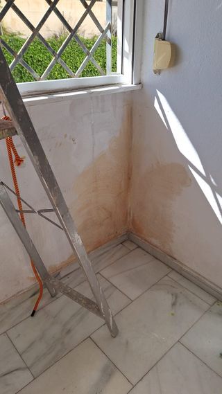 Servicio de Pintor Profesional + Limpieza Integra