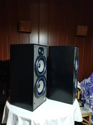 Altavoces Bowers & Wilkins DM220i