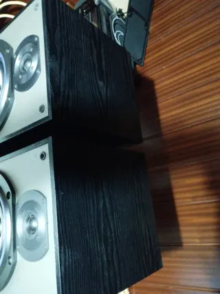 Altavoces Bowers & Wilkins DM220i