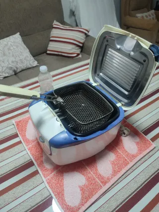 Freidora de aceite doméstica
