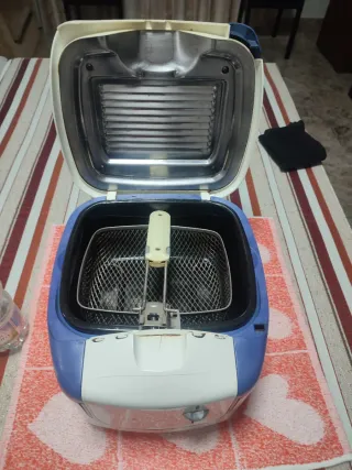 Freidora de aceite doméstica