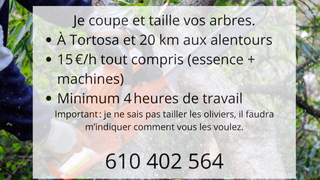 🇪🇸Poda árboles 🇬🇧Tree cutting 🇫🇷 Taille arbr