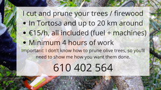 🇪🇸Poda árboles 🇬🇧Tree cutting 🇫🇷 Taille arbr