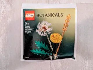 LEGO 30701 Botanicals Campo Flores 11 pezzi