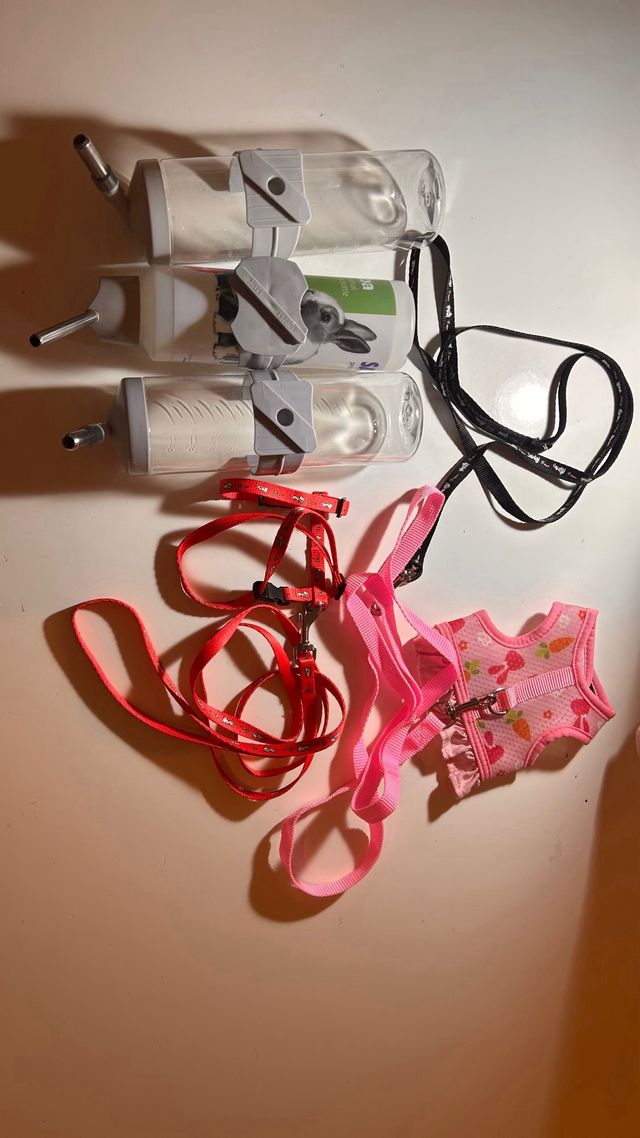 Accesorios para conejo/cobaya