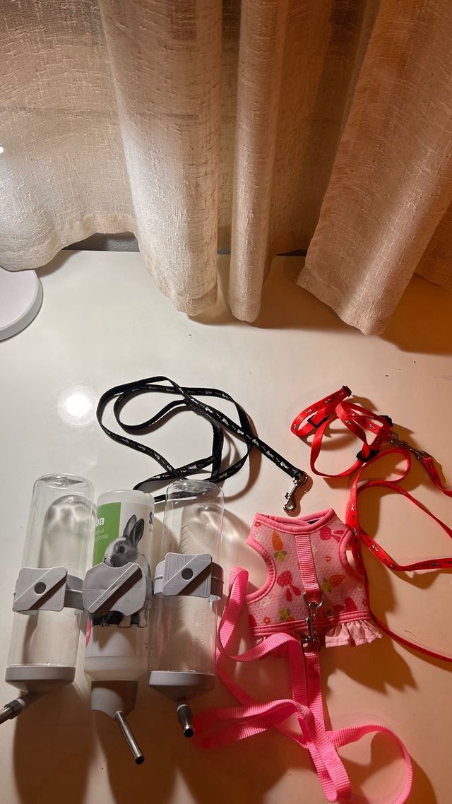 Accesorios para conejo/cobaya