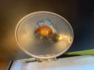 Vassoio grande in vetro e metallo