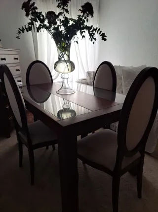 Mesa de comedor de madera con 4 sillas