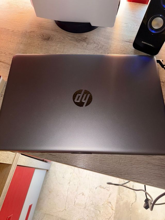 Portátil HP 255 G9 Gris