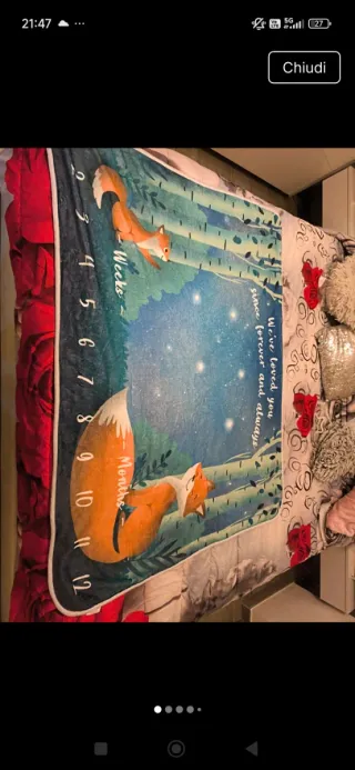 Coperta fotografica neonato