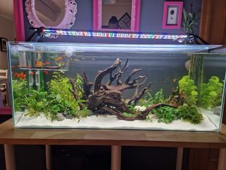 Acuario completo