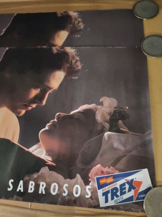 Póster Retro Chicle Trex Publicidad 1989-90