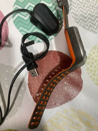 Reloj deportivo Garmin 310 XT