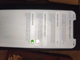 iPhone 12 Pro Max 256GB