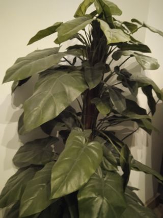 Planta grande artificial alta con maceta mimbre