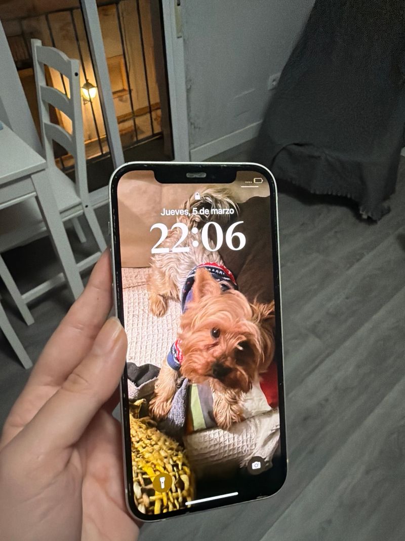 iPhone 12 Plata. Regalo el cargador y la funda afbeelding 2