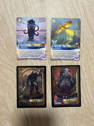 Lote Cartas Coleccionables Fantasy Rider CajaMetal